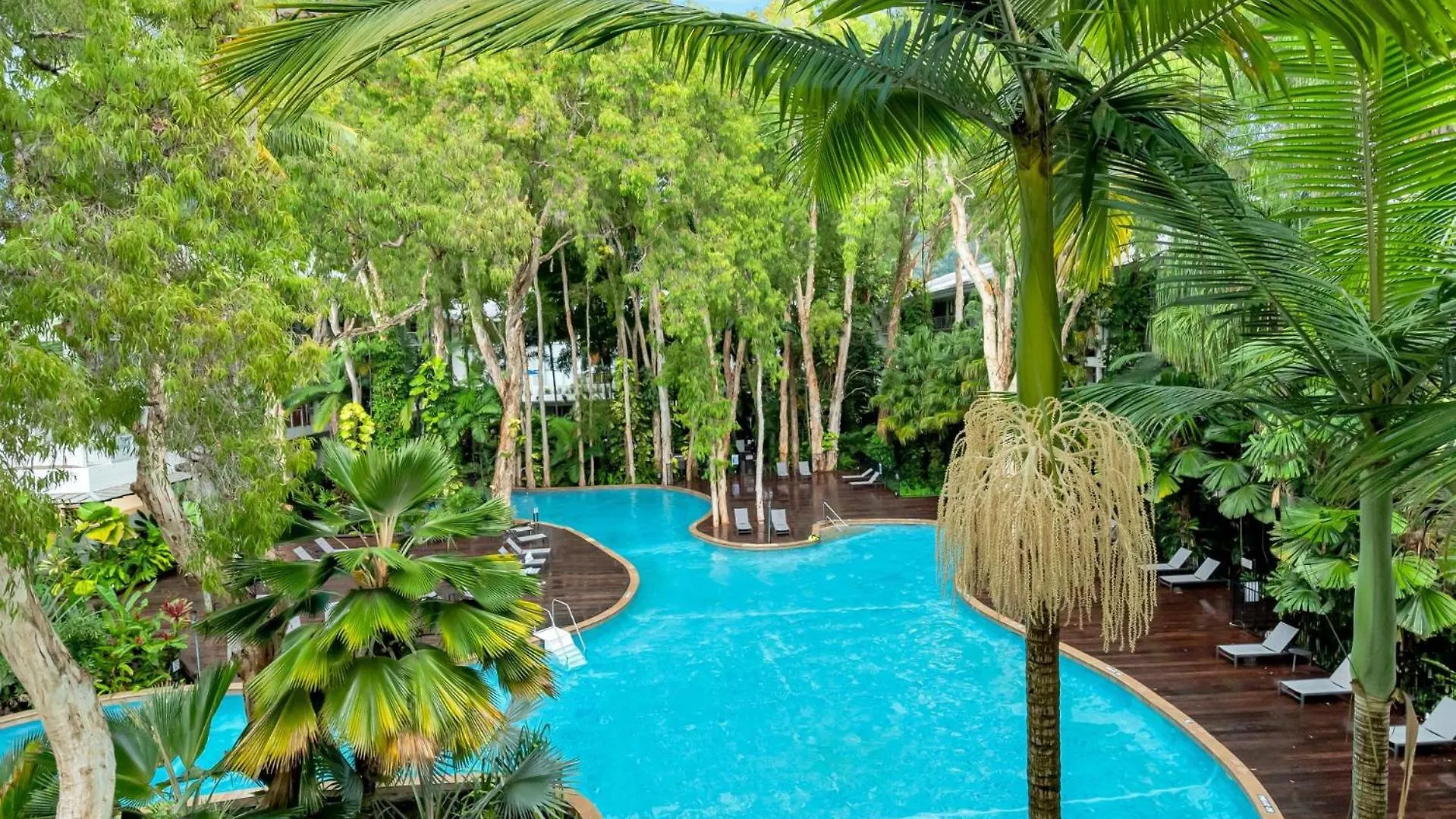 Belle Escapes Daydream At Drift Beachfront Palm Cove Apartment